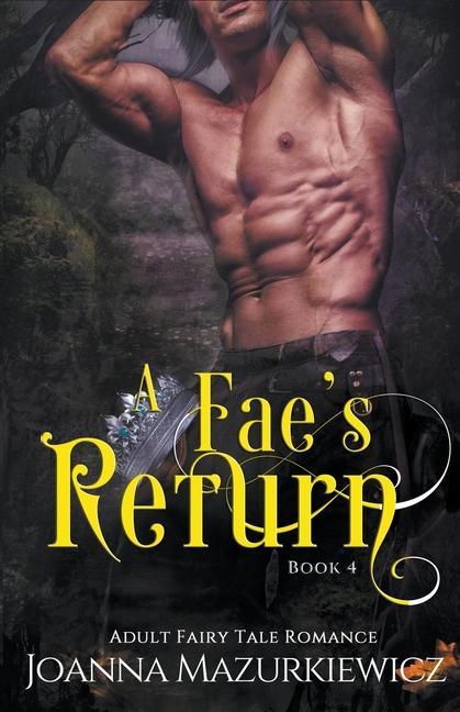 Buch Fae's Return Joanna Mazurkiewicz