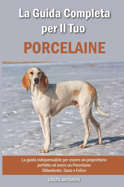 Livro La Guida Completa per Il Tuo Porcelaine Antonini Grato Antonini