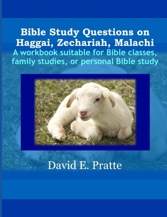 Knjiga Bible Study Questions on Haggai, Zechariah, Malachi Pratte David E Pratte
