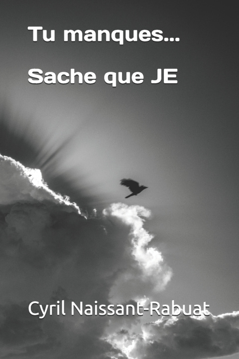 Knjiga Tu manques... Sache que JE Naissant-Rabuat Cyril Naissant-Rabuat