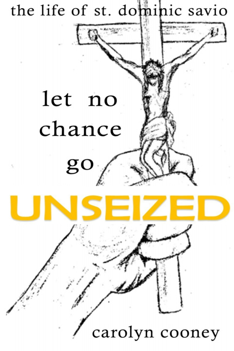 Buch Let No Chance Go Unseized Carolyn Cooney