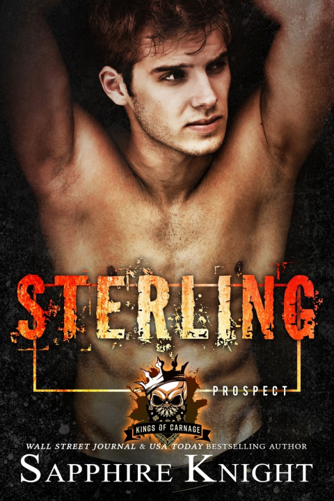 Knjiga Sterling Knight Sapphire Knight