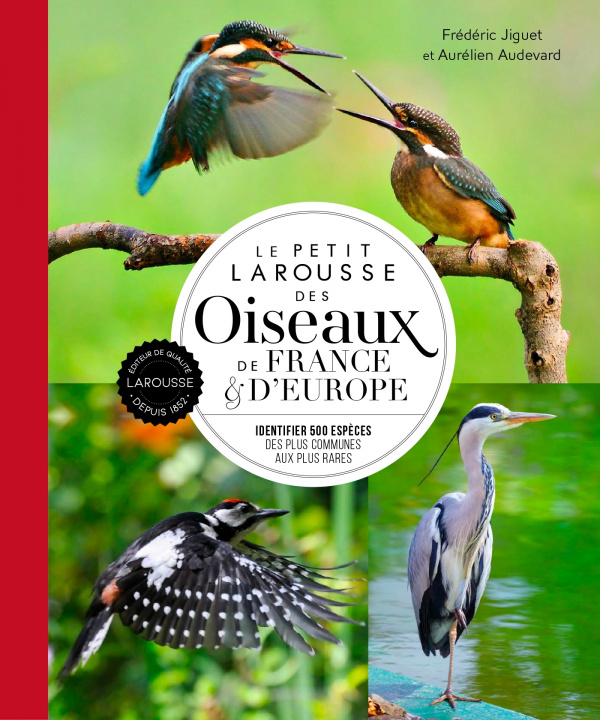 Carte Le petit Larousse des oiseaux de France & d'Europe Frédéric Jiguet