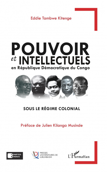 Kniha Pouvoir et intellectuels en République Démocratique du Congo sous le régime colonial Kitenge