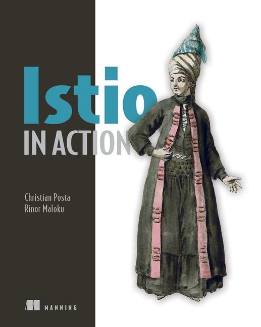 Книга Istio in Action Rinor Maloku