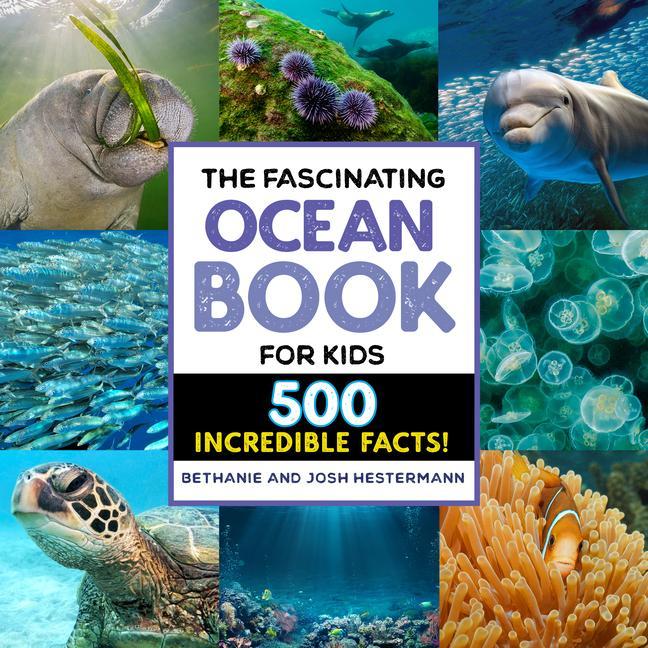 Könyv The Fascinating Ocean Book for Kids: 500 Incredible Facts! Josh Hestermann