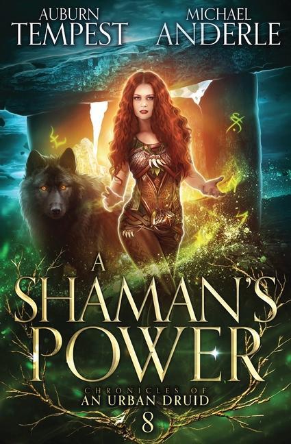 Buch Shaman's Power Michael Anderle