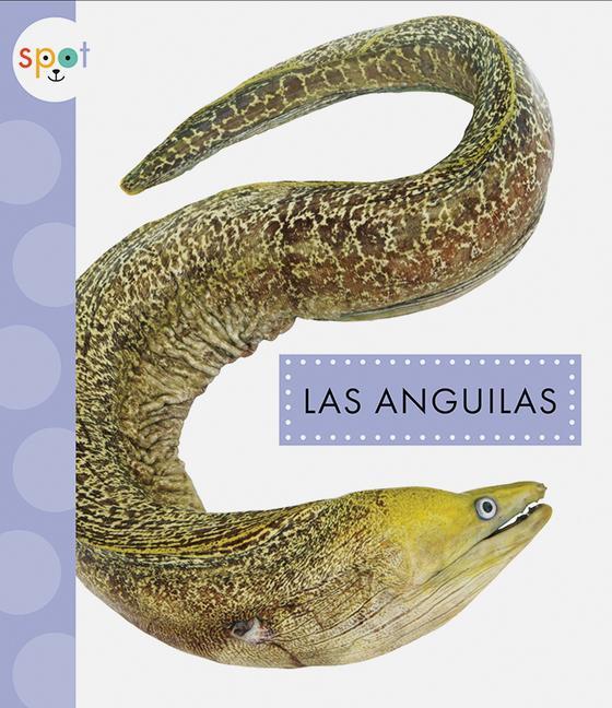 Könyv Las Anguilas 