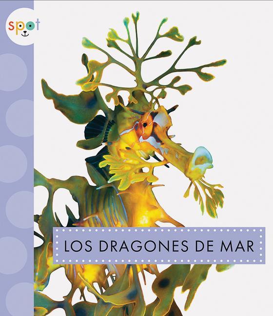 Книга Los Dragones de Mar 