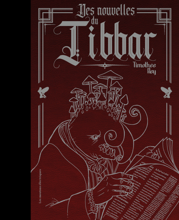 Книга Des nouvelles du Tibbar Timothée Rey