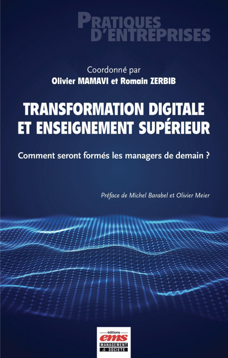 Könyv Transformation digitale et enseignement supérieur MAMAVI OLIVIER