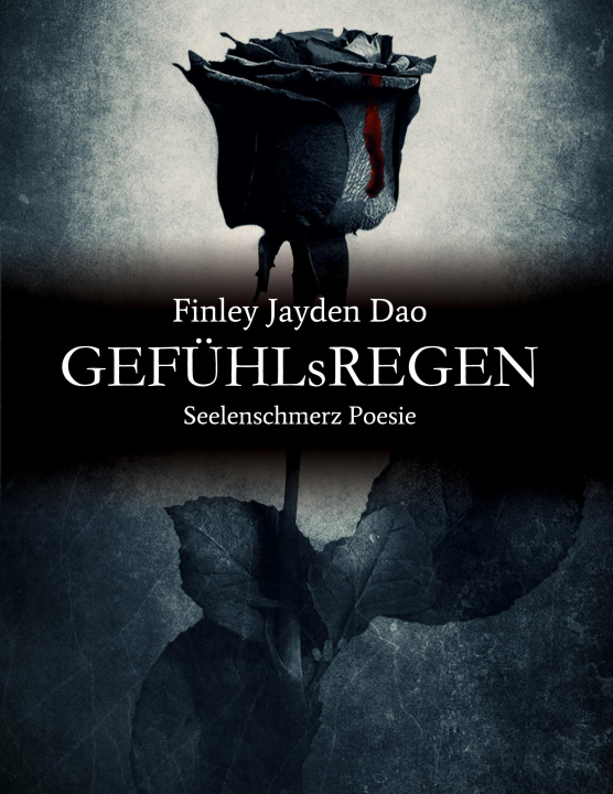 Buch GEFÜHLsREGEN Finley Jayden Dao