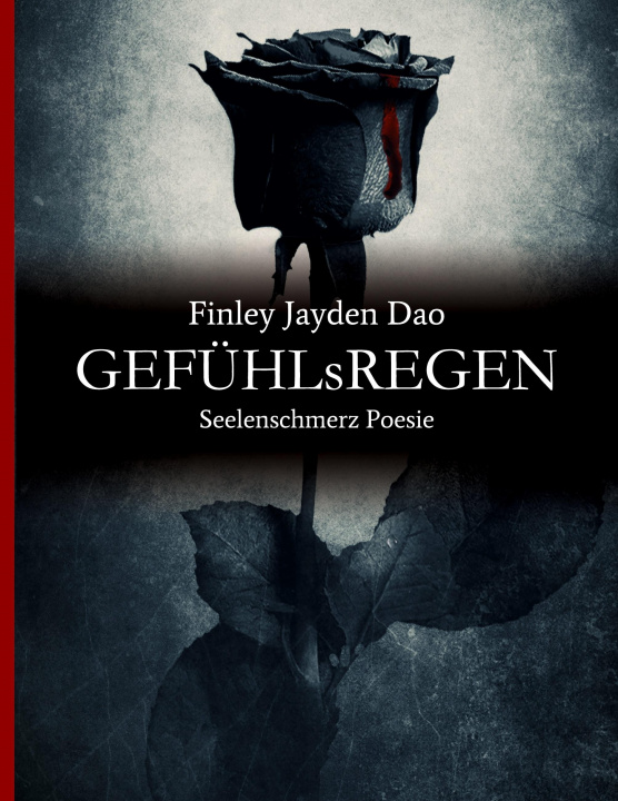 Buch GEFÜHLsREGEN Finley Jayden Dao