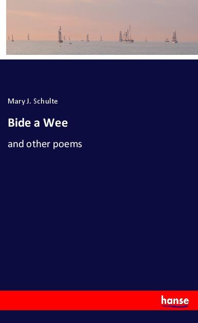 Knjiga Bide a Wee Mary J. Schulte