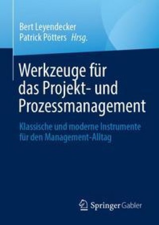 Kniha Werkzeuge Fur Das Projekt- Und Prozessmanagement Patrick Pötters