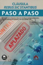 Könyv CLAUSULA REBUS SIC STANTIBUS. PASO A PASO. DEPARTAMENTO DE REDACCION EDITORIAL COLEX