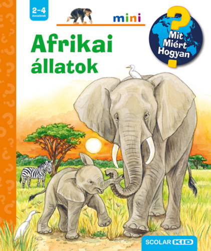 Kniha Afrikai állatok Daniela Prusse
