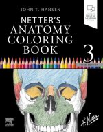 Könyv Netter's Anatomy Coloring Book John T. Hansen
