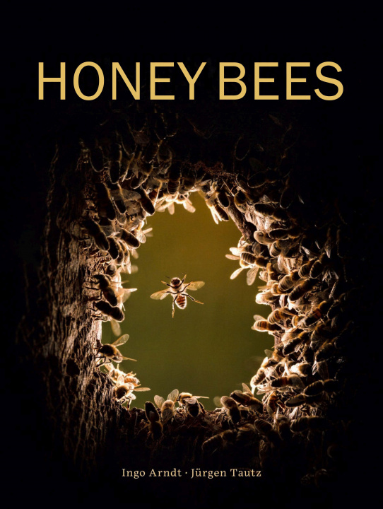 Kniha Honey Bees Jurgen Tautz