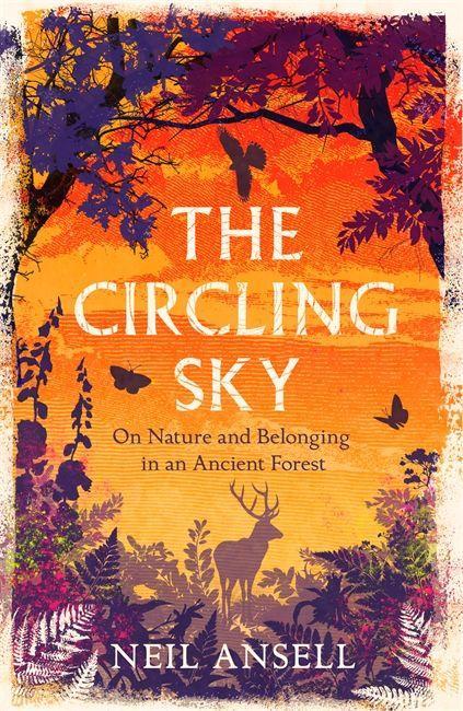 Buch Circling Sky Neil Ansell