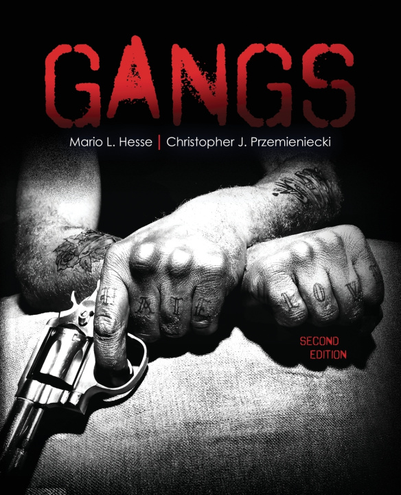 Knjiga Gangs Mario L. Hesse