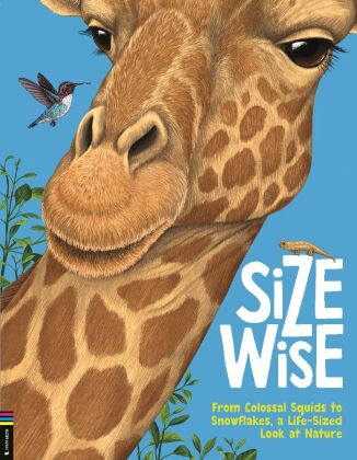 Buch Size Wise CAMILLA DE LA BEDOYE
