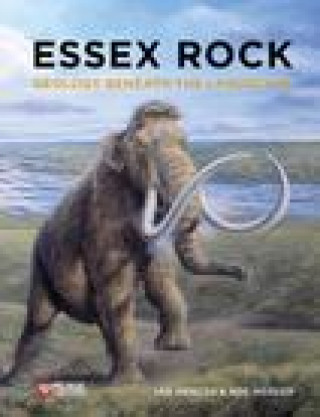Kniha Essex Rock Ian Mercer