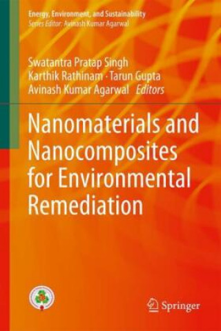 Kniha Nanomaterials and Nanocomposites for Environmental Remediation Karthik Rathinam