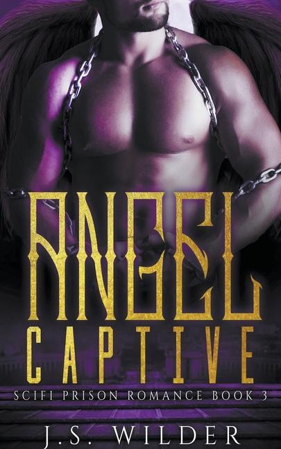 Knjiga Angel Captive Wilder J.S. Wilder