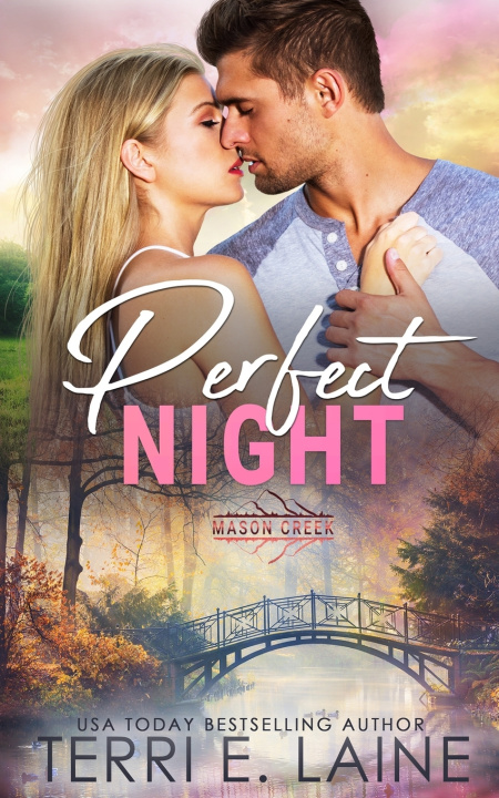 Knjiga Perfect Night Laine Terri E. Laine