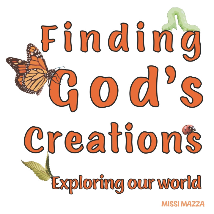 Knjiga Finding God's Creations MAZZA MISSI MAZZA