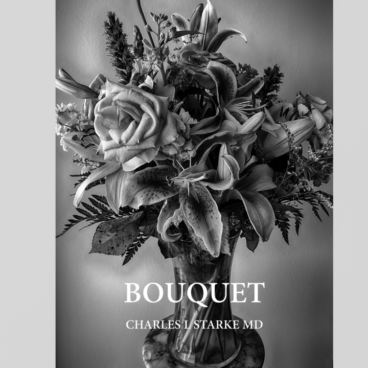 Knjiga Bouquet Starke MD Charles L Starke MD