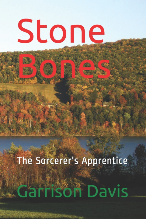 Knjiga Stone Bones Davis Garrison E Davis