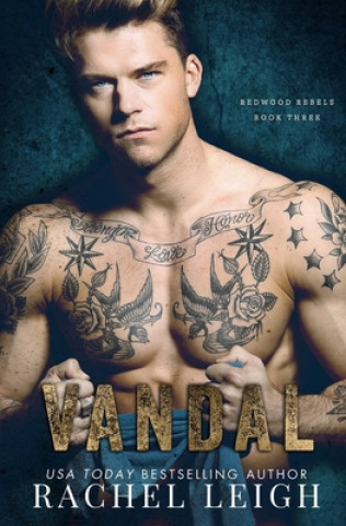 Libro Vandal Leigh Rachel Leigh