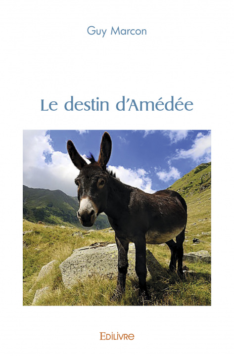 Livre Le destin d'amédée MARCON GUY