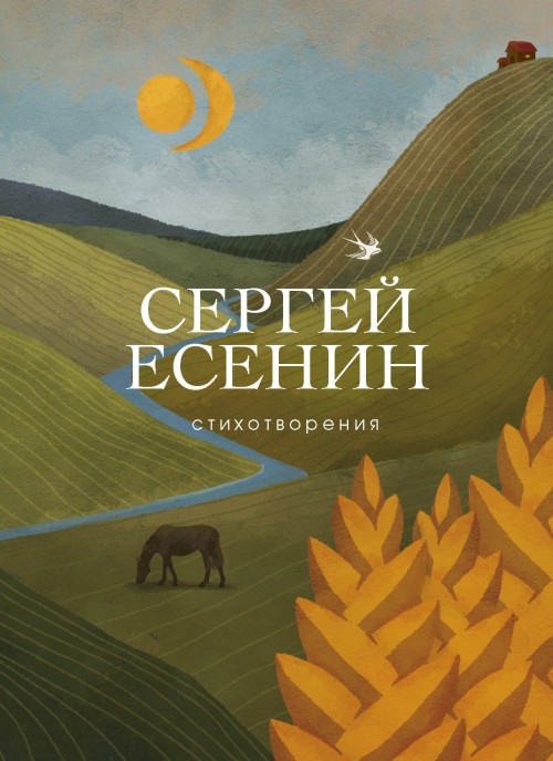 Buch Стихотворения Сергей Есенин