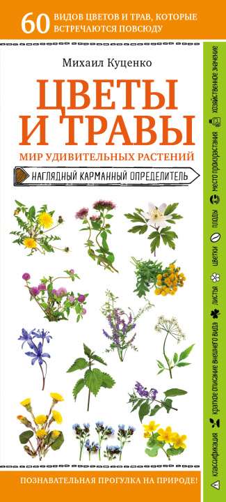 Könyv Цветы и травы. Мир удивительных растений М.Е. Куценко