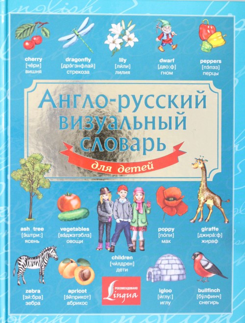 Livre Англо-русский визуальный словарь для детей 