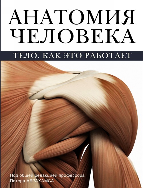 Book Анатомия человека П. Абрахамс