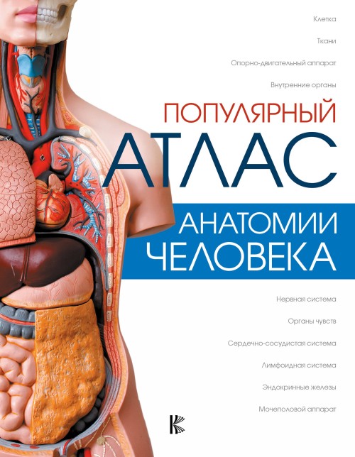 Kniha Популярный атлас анатомии человека 