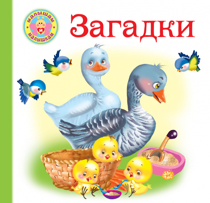 Knjiga Загадки Е. Гайдель