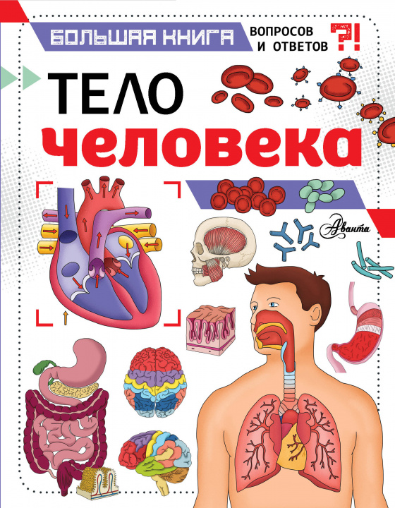 Książka Тело человека Джон Фарндон