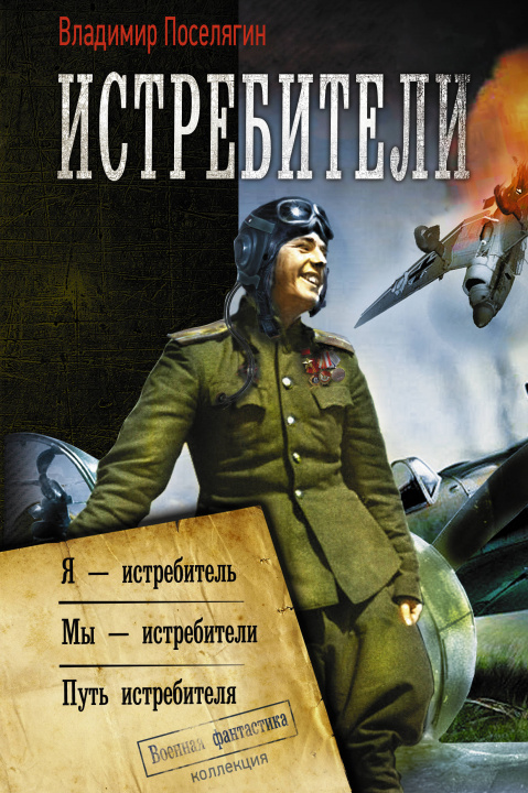 Buch Истребители Владимир Поселягин