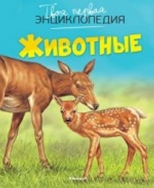 Könyv Животные 