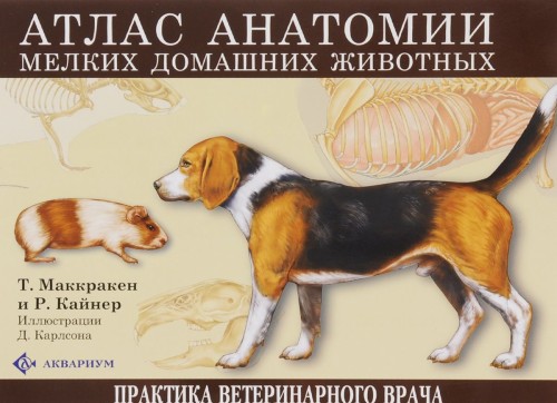 Könyv Атлас анатомии мелких домашних животных 