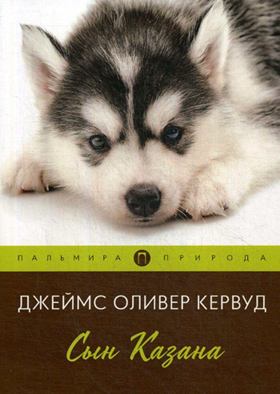 Boek Сын Казана. роман Кервуд Дж.о.