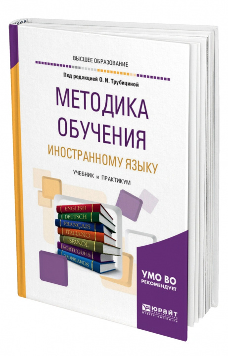 Buch Методика обучения иностранному языку. Учебник и практикум для академического бакалавриата 