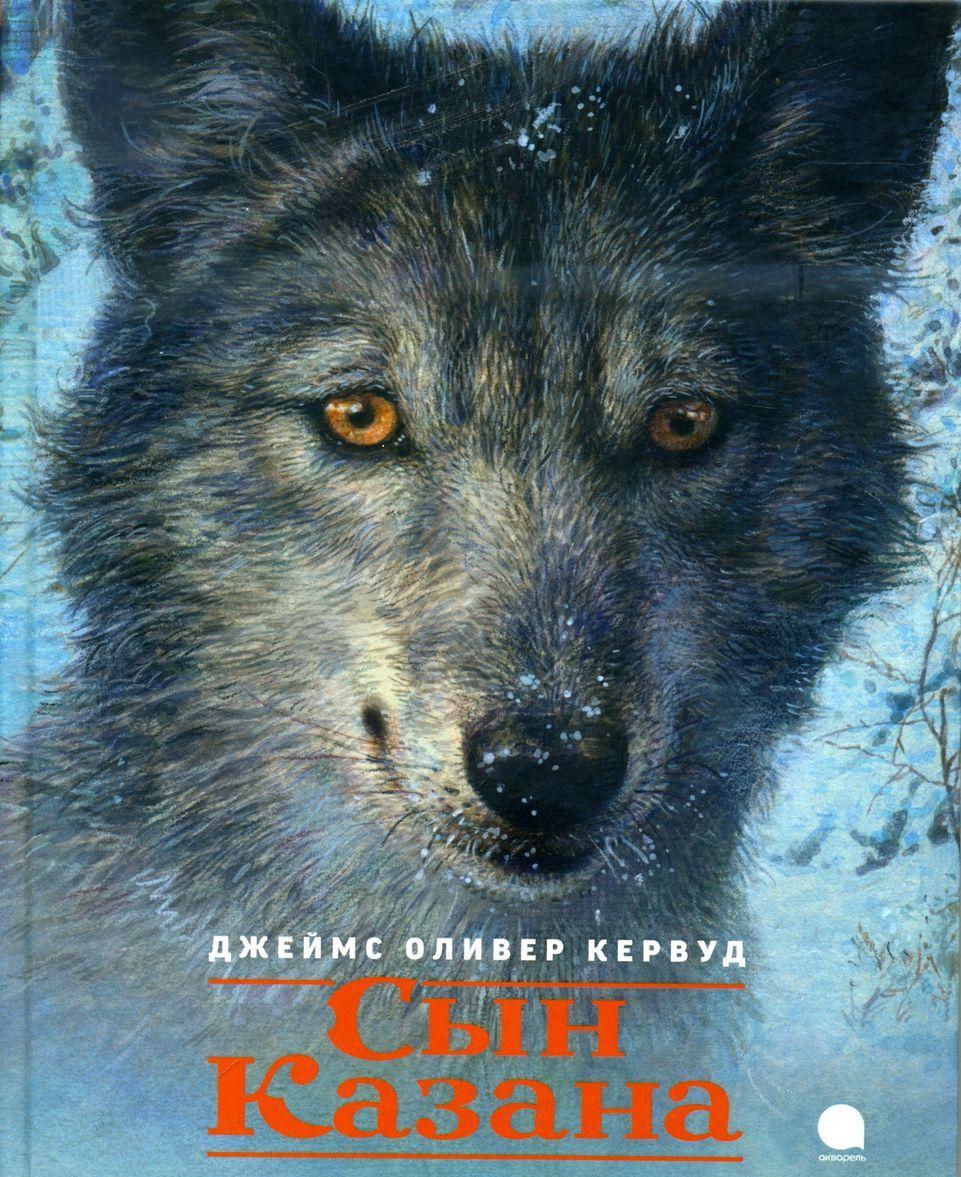 Knjiga Сын Казана 