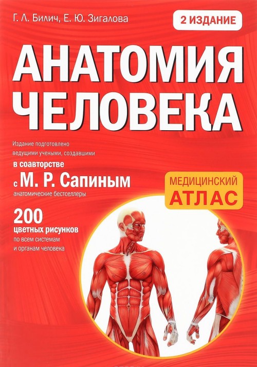 Kniha Анатомия человека Г. Билич