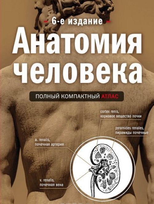 Carte Анатомия человека: полный компактный атлас Берг Ю.в.